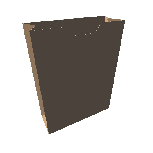 Paper bag